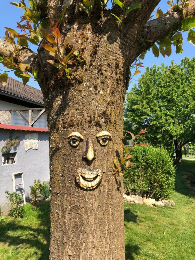 Ferien- Und Monteurswohnung Heilbrunnen Woerth am Rhein Buitenkant foto